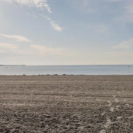 Front Sea *